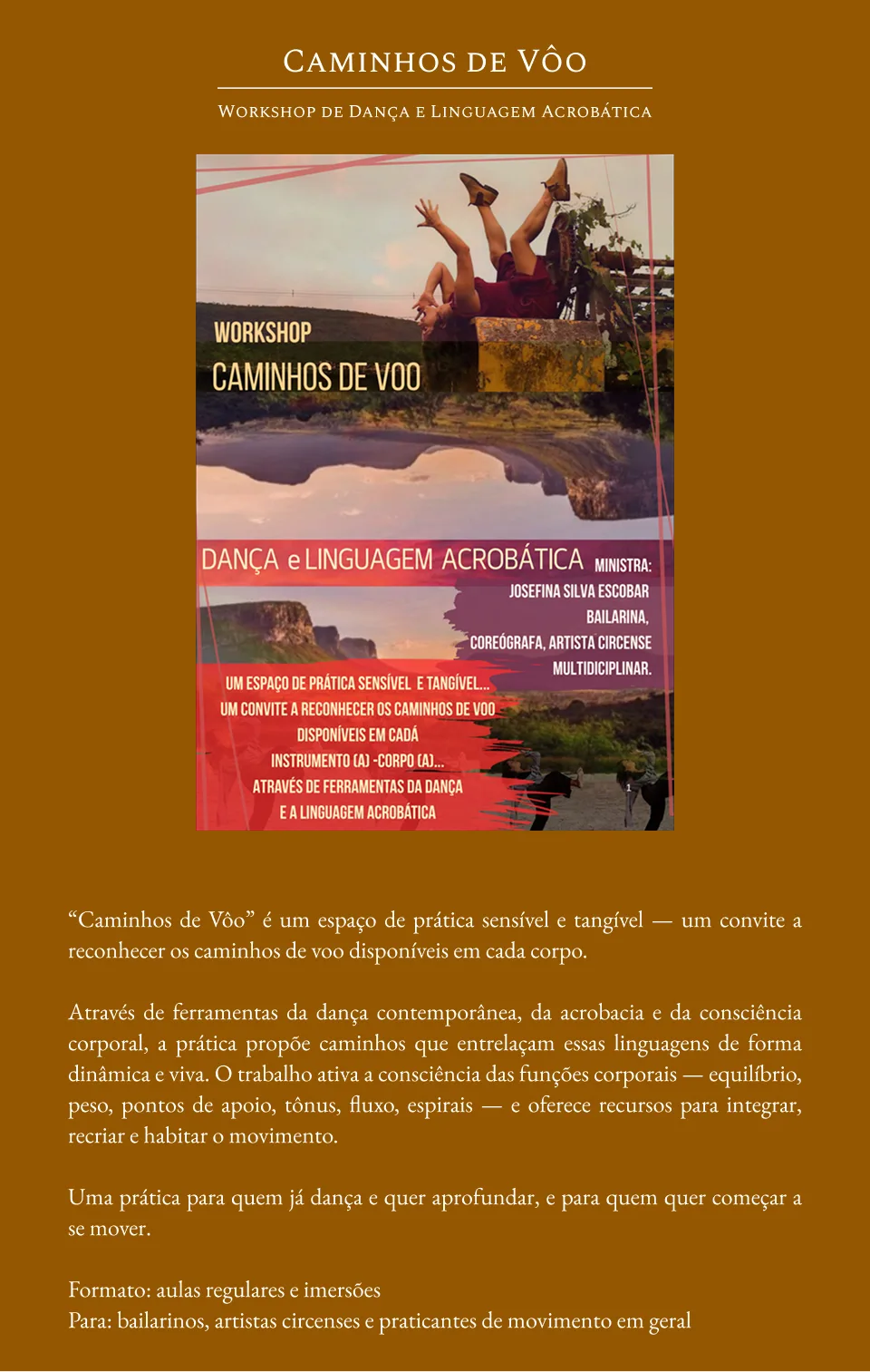 Caminhos de Voo: o que é, pra quem é e como funciona, numa página.